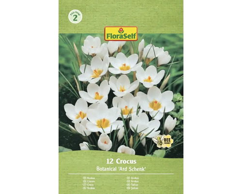 Blumenzwiebel Krokus FloraSelf 'Ard Schenk' 12 Stück Packung mit 12 Krokussen der Sorte Botanical 'Ard Schenk'