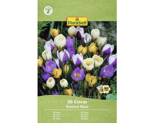Packung Krokusse mit botanischer Mischung, 20 Stück