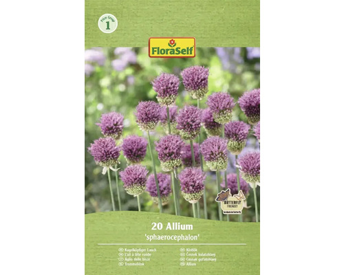 Packung Kugelkopflauch von FloraSelf mit 20 Zwiebeln