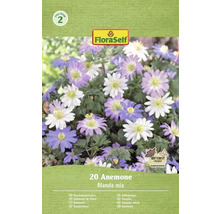FloraSelf 20 Anemone Blanda Mix Packung