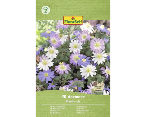 Blumenzwiebel Anemone FloraSelf 'Blanda mix' 20 Stück FloraSelf 20 Anemone Blanda Mix Packung