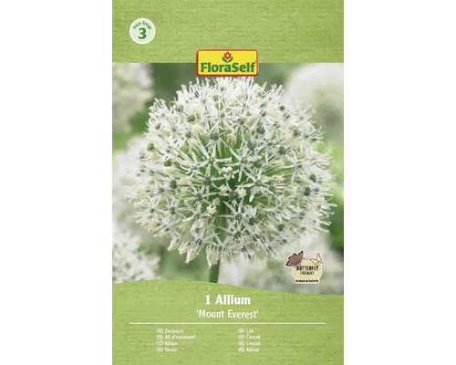 Blumenzwiebel Zierlauch FloraSelf 'Mount Everest' 1 Stück Zierlauch Mount Everest im FloraSelf Paket