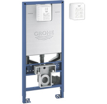 Grohe Spülkasten mit Montageelement und Revisionskasten