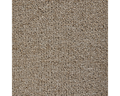 Teppichboden Schlinge Rambo beige FB70 400 cm breit (Meterware) Nahaufnahme eines Teppichs