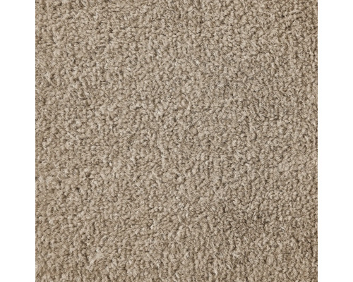 Teppichboden Velours Ines cappuccino FB90 400 cm breit (Meterware) Nahaufnahme eines Teppichs