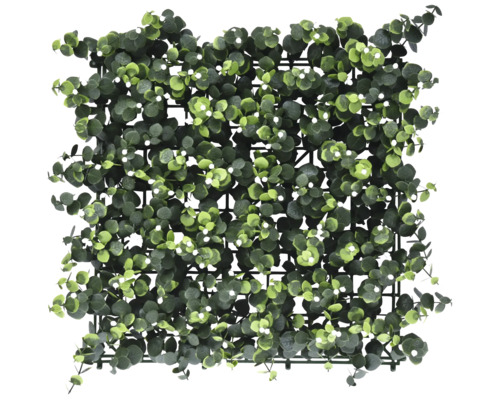 Eukalyptusmatte zur Wandgestaltung