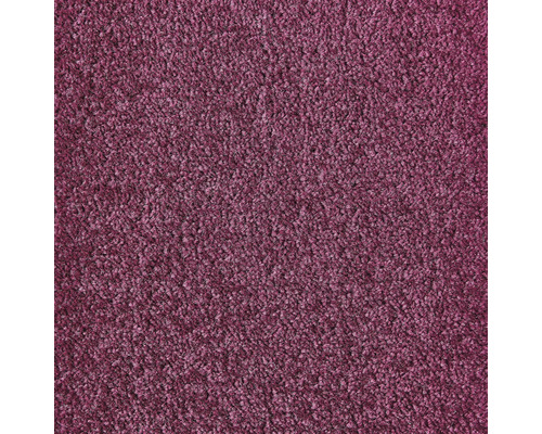 Teppichboden Velours Ines flieder FB48 400 cm breit (Meterware) Nahaufnahme eines Teppichs