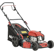 Benzinrasenmäher mit Grasfangkorb