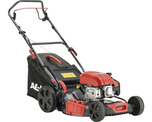 Benzinrasenmäher mit Grasfangkorb