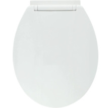 Toilettendeckel aus Kunststoff, geschlossen