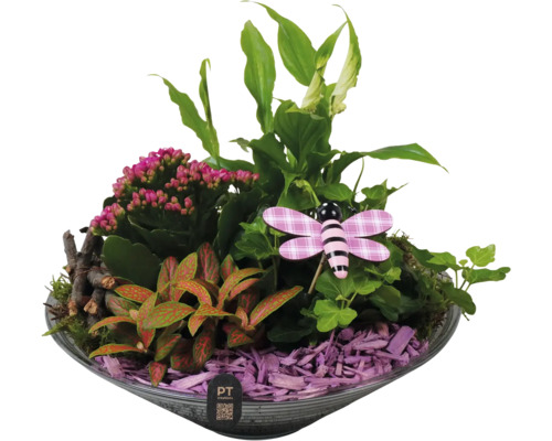Arrangement mit Zimmerpflanzen, Holzhackschnitzeln und Dekofigur in einer Schale