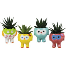 Vier dekorative Blumentöpfe in Eulenform mit Sukkulenten bepflanzt