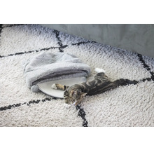 Katze liegt auf einem Teppich neben einem Katzenbett