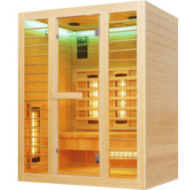 Infrarotsauna aus Holz mit Glastür und Infrarotstrahlern