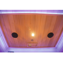 Decke einer Sauna mit Lautsprechern und Beleuchtung