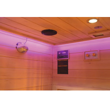 Innenansicht einer Sauna mit Bedienfeld und Lautsprecher
