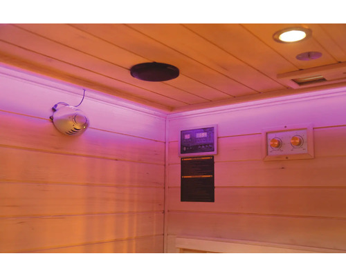 Innenansicht einer Sauna mit Bedienfeld und Lautsprecher