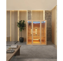 Innenraum mit Home Deluxe Infrarotsauna, Pflanze und Handtüchern