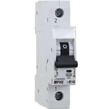 Leitungsschutzschalter 1/B16