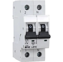 Doppelter Leitungsschutzschalter