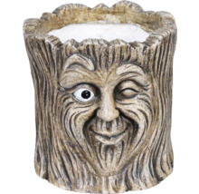 Blumentopf Baumgesicht aus Steingut