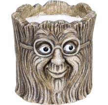 Blumentopf mit Gesicht und Brille aus Kunststein