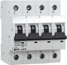 Leitungsschutzschalter mit vier Polen