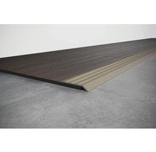 Bodenbelag mit Übergangsprofil