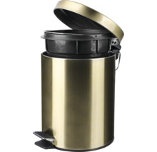 Abfalleimer mit Pedal und offenem Deckel