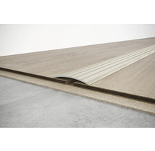 Profil für Bodenbeläge aus Metall mit Dekorstreifen