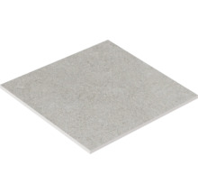 Einzelne Fliese aus Steinzeug