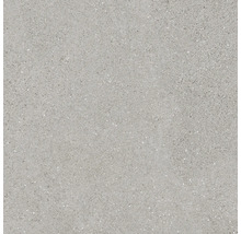 Graue Bodenfliese mit gesprenkelter Oberfläche