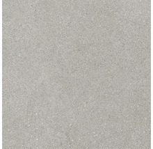 Feinsteinzeugfliese mit gesprenkelter Optik