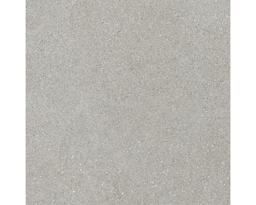 Feinsteinzeugfliese mit gesprenkelter Optik