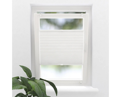 Faltplissee weiß Uni 60x130 cm Fenster mit weißem Plissee-Rollo und Zimmerpflanze