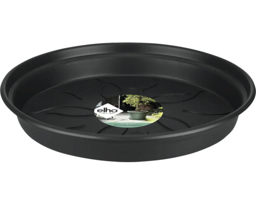 Untersetzer elho Green Basics Kunststoff Ø 34 H 5 cm anthrazit Pflanzenuntersetzer aus Kunststoff