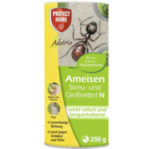 Natria Ameisen Streu- und Gießmittel N, 250 Gramm Packung