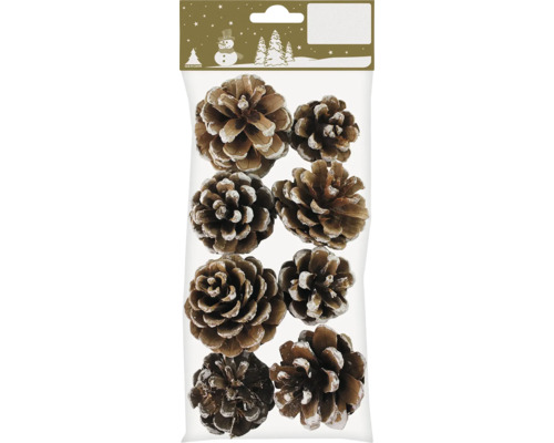 Tannenzapfen mit weißen Spitzen ca. 5 cm 8 Stück Dekorative Tannenzapfen mit Schnee-Effekt in Verpackung