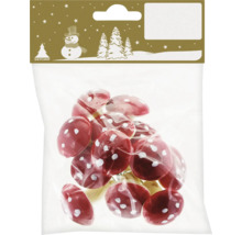 Verpackung mit roten Fliegenpilzen mit weißen Punkten zur Dekoration