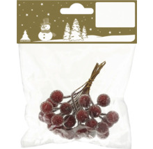 Dekorative Beeren in Verpackung für festliche Dekorationen