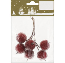 Dekorative Beeren in Verpackung für Weihnachtsdekoration