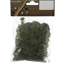 Packung Islandmoos für Bastelarbeiten