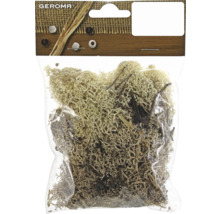 Packung Islandmoos zur Dekoration