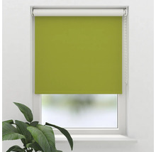 Grüne Fensterrollo zur Lichtsteuerung und Dekoration