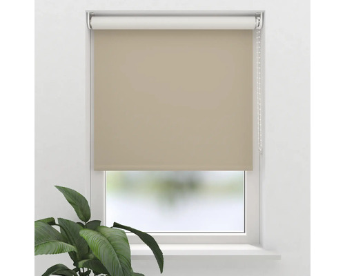 Soluna Verdunkelungsrollo V4 taupe 270x190 cm Beige Rollos am Fenster zur Lichtsteuerung