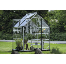 Gewächshaus mit Pflanzen und Regalen im Garten