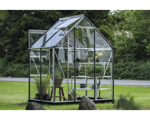 Gewächshaus mit Pflanzen und Regalen im Garten