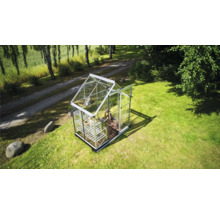 Gewächshaus auf Rasen mit Pflanzen