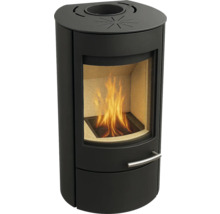 Kaminofen mit Feuerraum und Bedienungselement