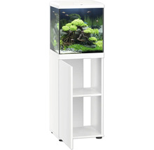 Aquarium mit Unterschrank und Bepflanzung